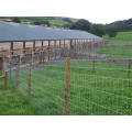 Direct Sale Cattle Fence and Hinge Joint Knot Field Fence Mesh for Animals